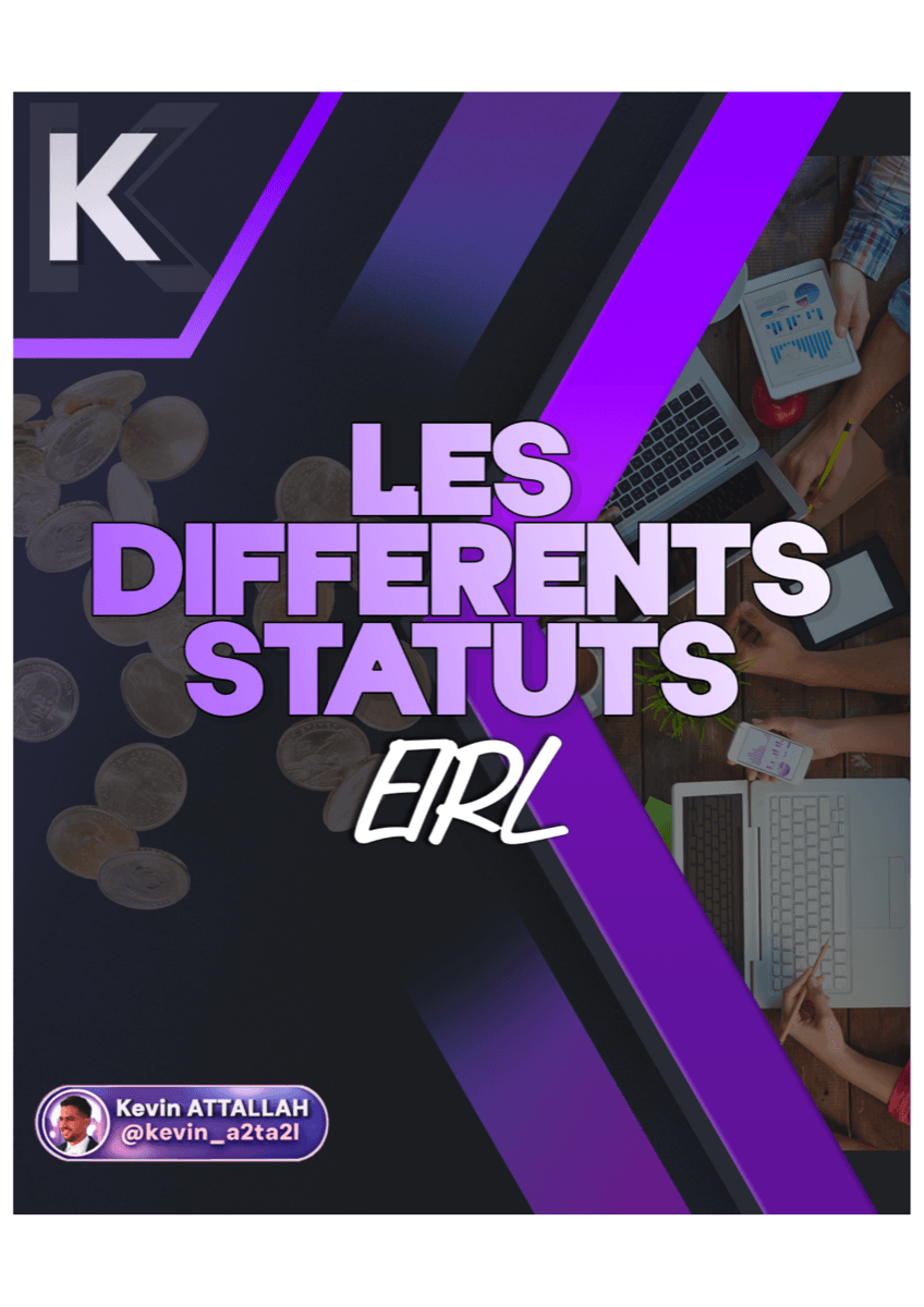 Statuts juridiques - EIRL - 1